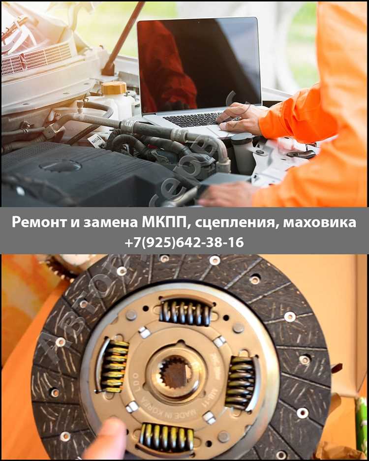 Основные